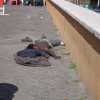the best photos of the day. sleeping in Rome, between area San Juan-Coliseum 2007